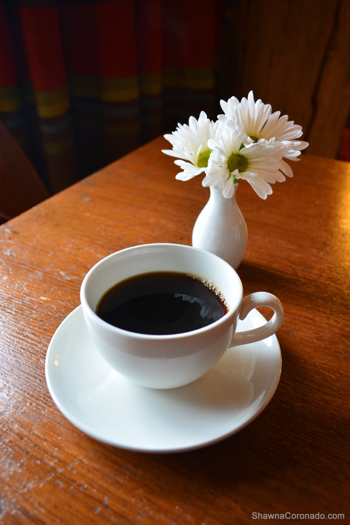 Cup of Coffee and Daisy Photo copyright Shawna Coronado