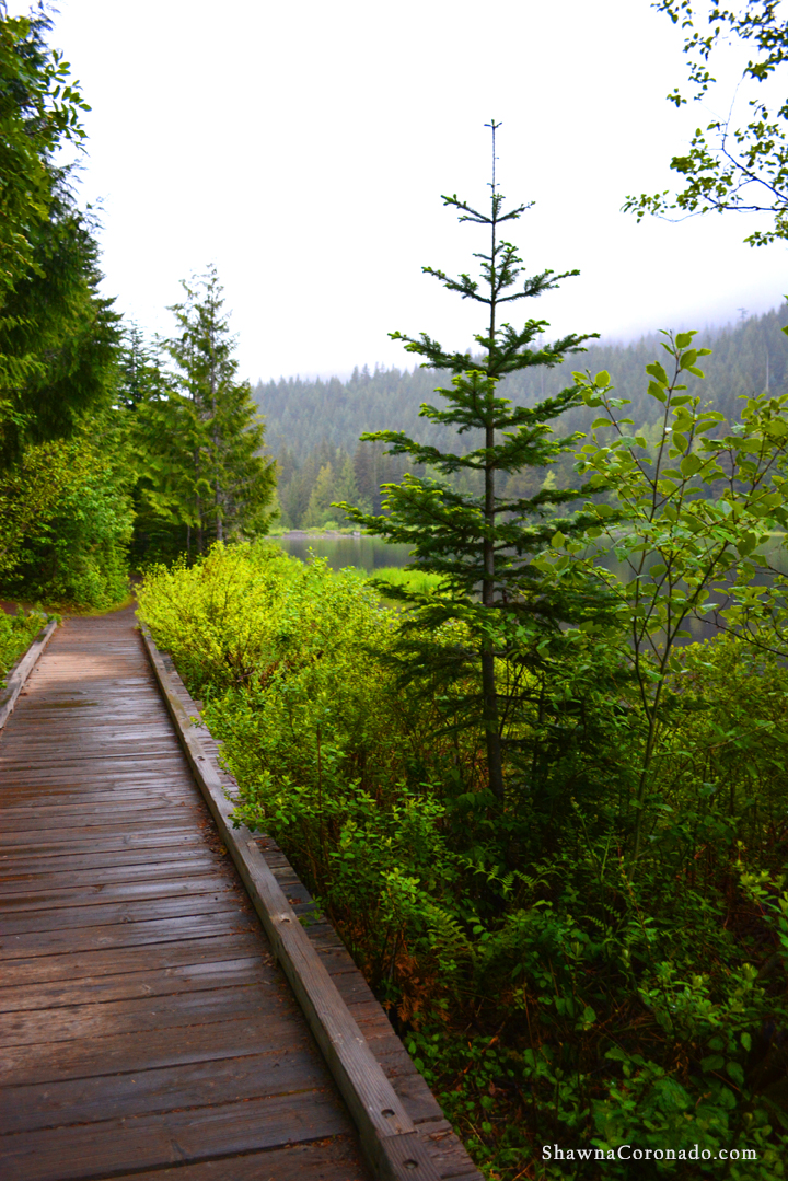 Lake Trillium and Pines copyright Shawna Coronado