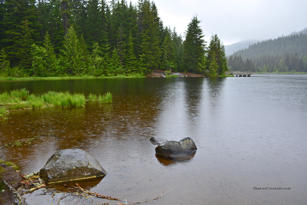 Lake Trillium and Mount Hood in the Rain copyright Shawna Coronado