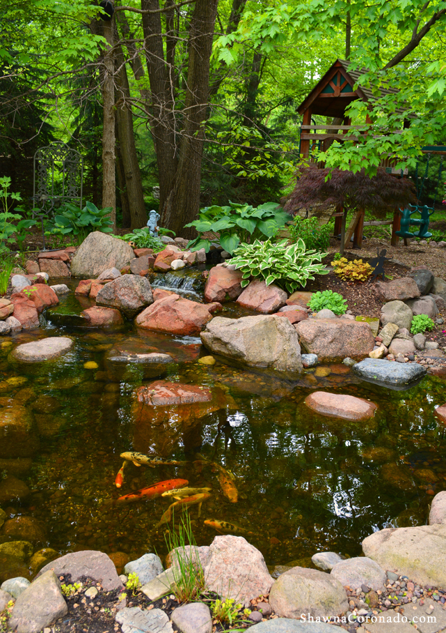 Pond Play Ground copyright Shawna Coronado