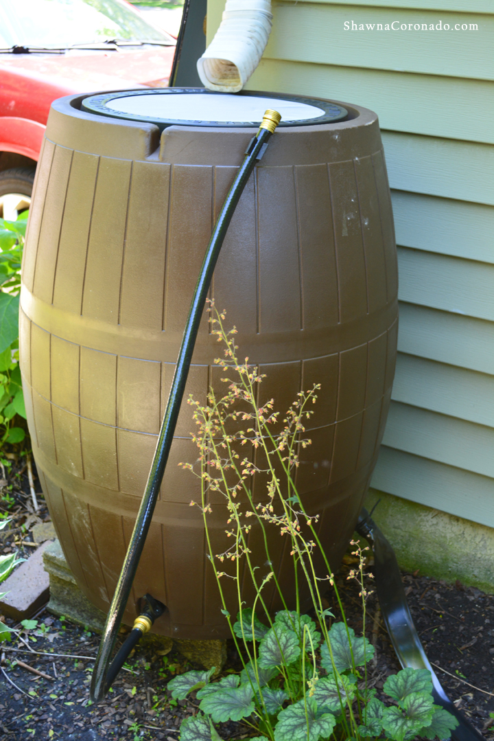 Rain barrel photo image