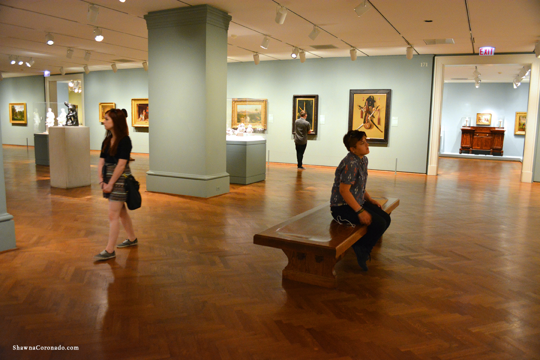 Art Institute Viewing