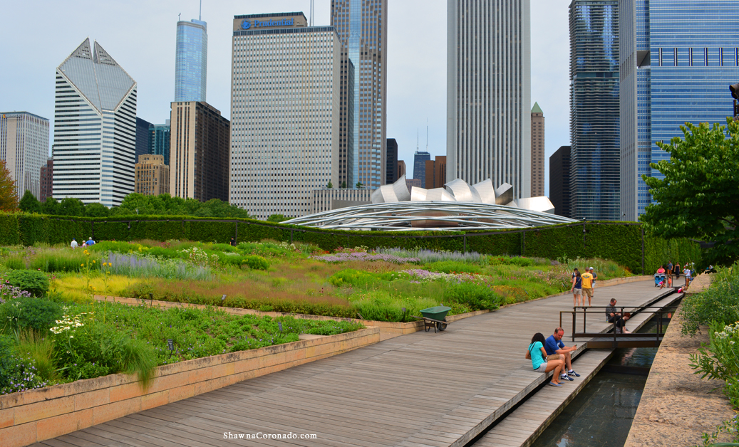 Lurie Garden Summer 2016