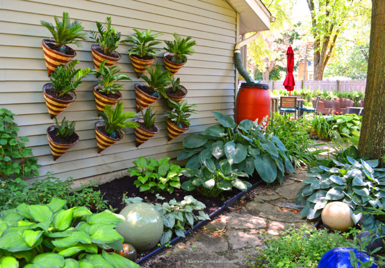 Plants of Steel Living Wall Shade Garden