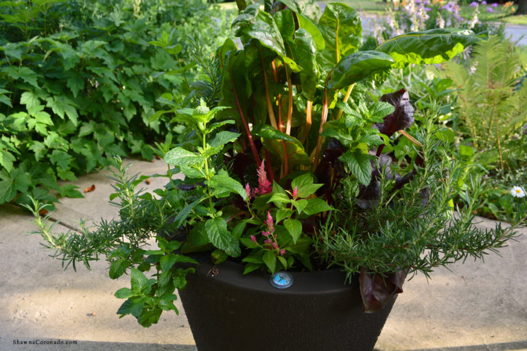 Self Watering Garden Container Trudrop