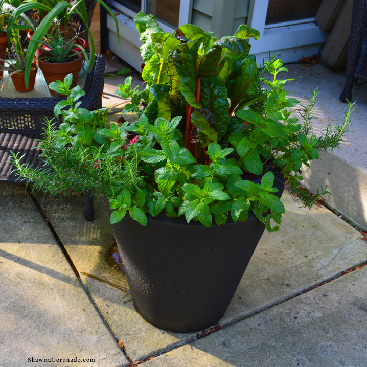 self-watering garden containers