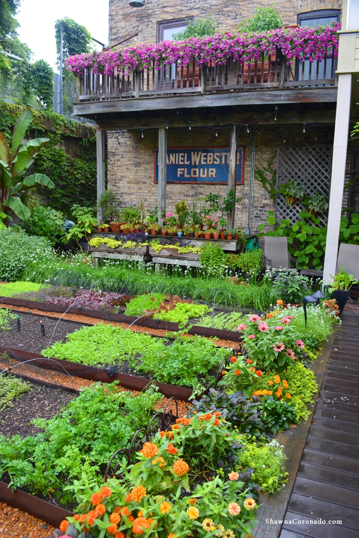 Rick Bayless Garden and balcony