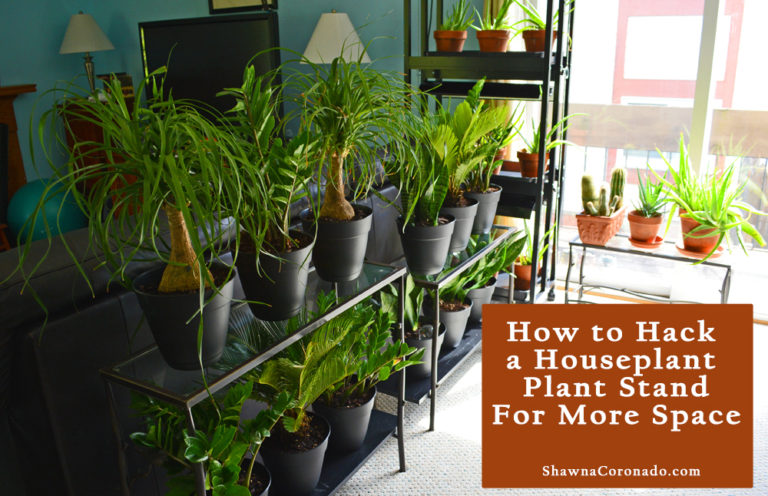 Houseplant Plant Stand Hack with Plants