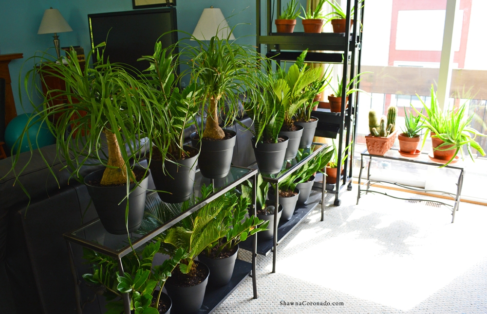 Houseplant Plant Stand Hack with Plants