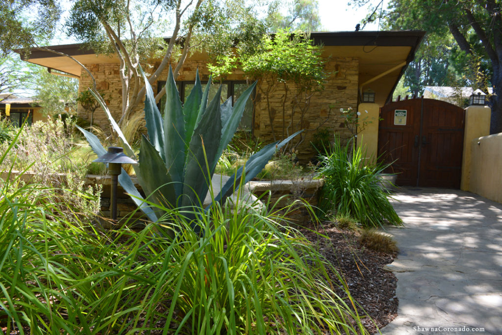 Shirley Bovshow Front Garden