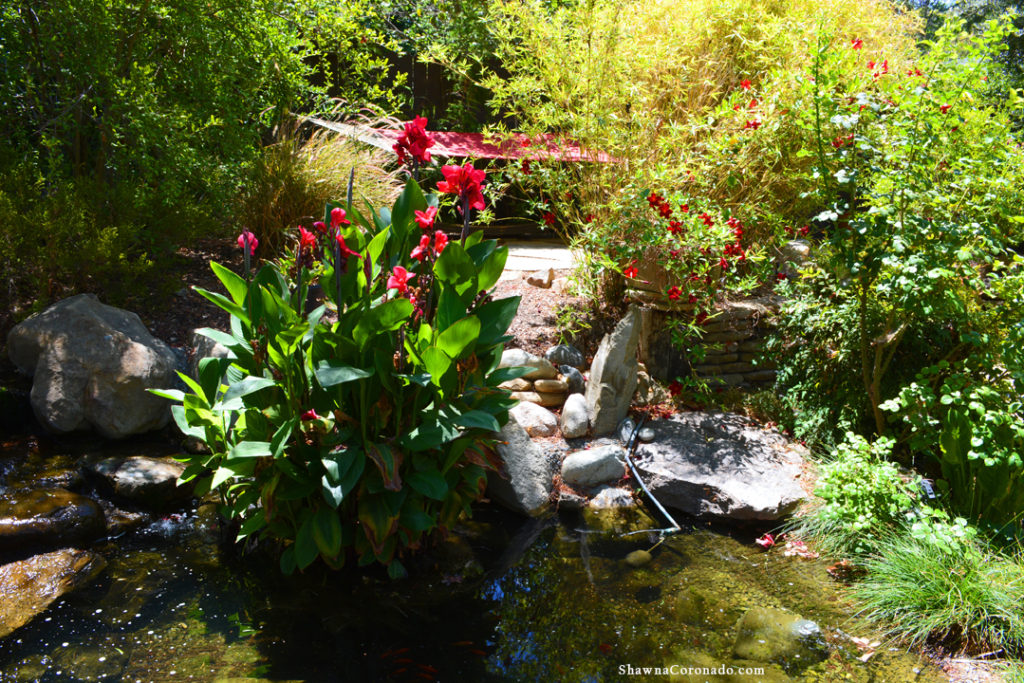 Shirley Bovshow Hidden Hammock Garden