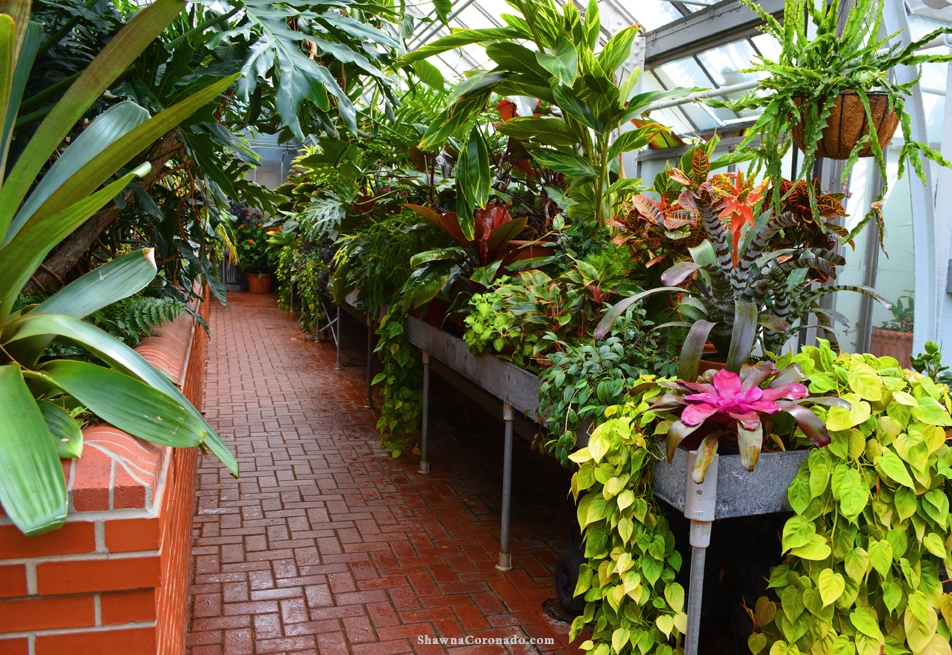 Biltmore Greenhouse