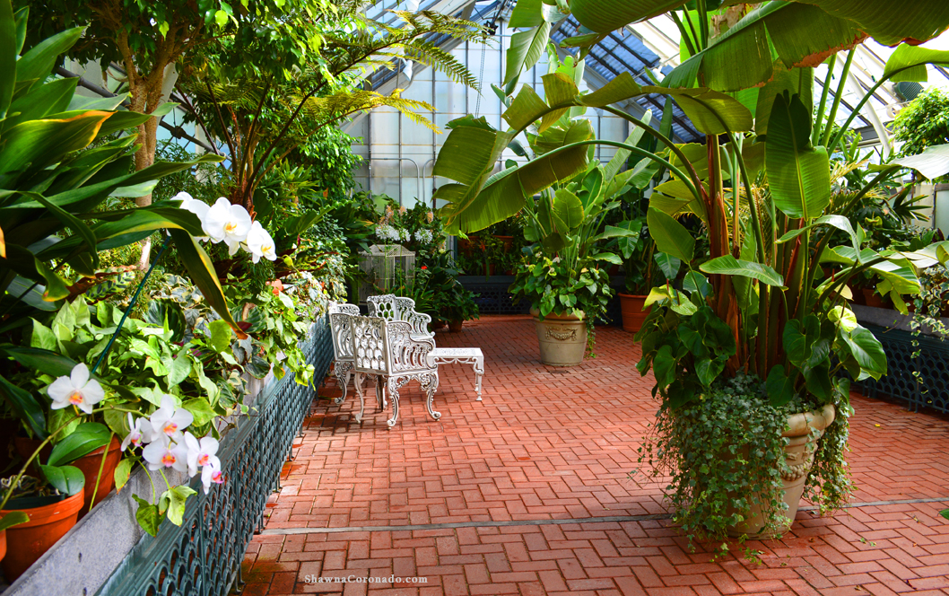 Biltmore  White Greenhouse