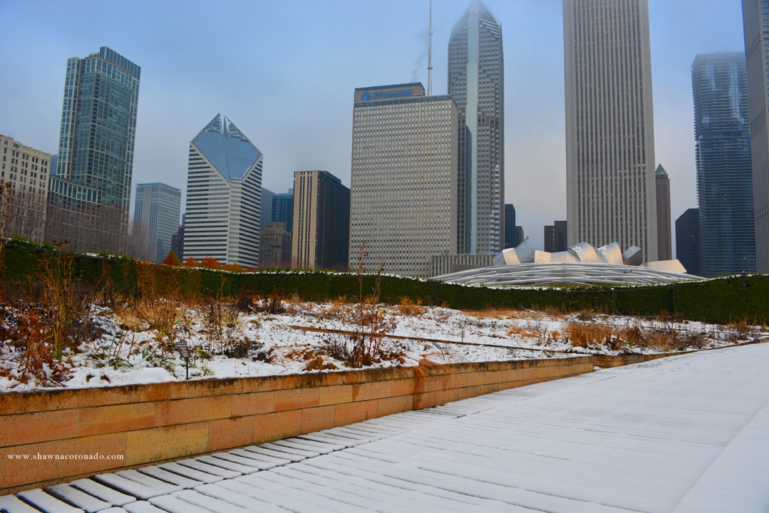 Lurie Garden Winter View