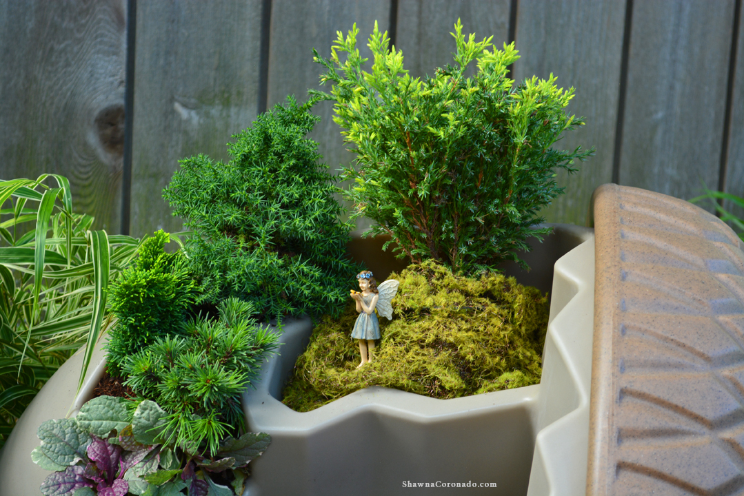 Container Fairy Garden Closeup