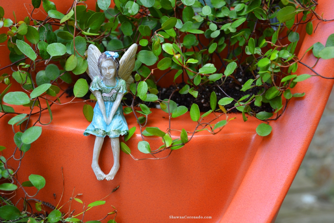 Broken Pot Fairy Container Garden Spring Closeup