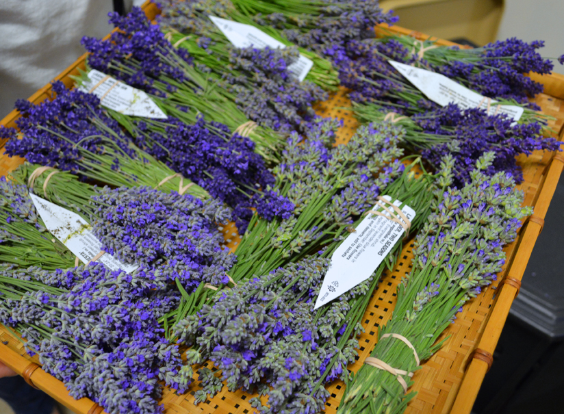 Lavender Bundles to Dry Lavender