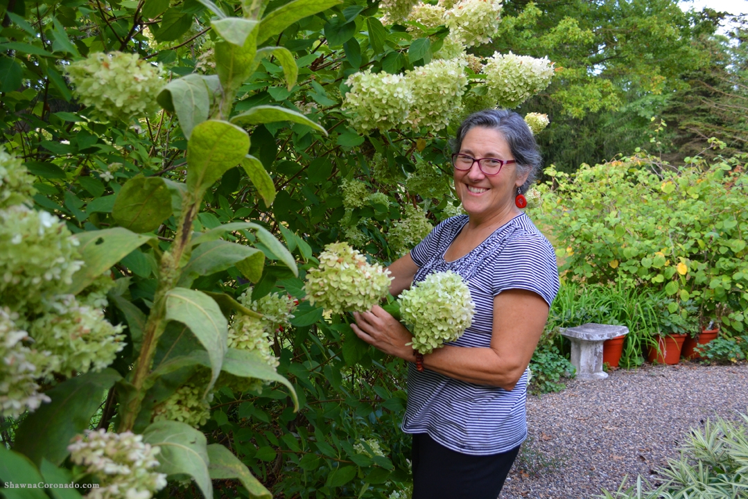 Candy Traven Peace Tree Farm