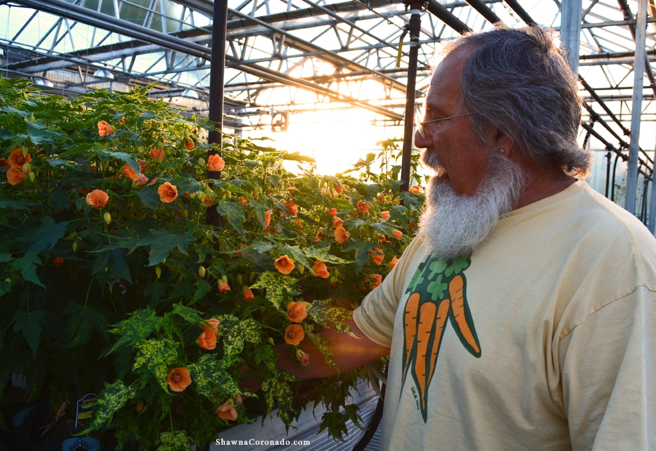 Lloyd Traven at Peace Tree Farm