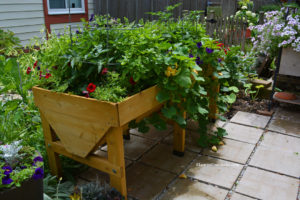 VegTrug Planter with Vegetables