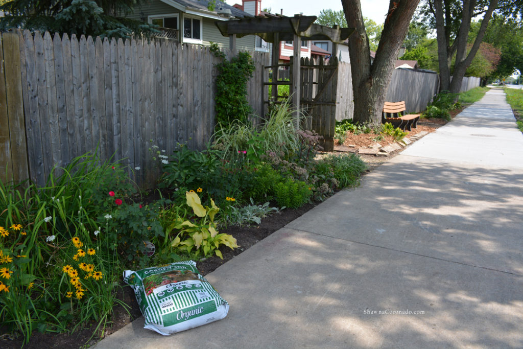 Easy Elegance Roses Soil Mulch