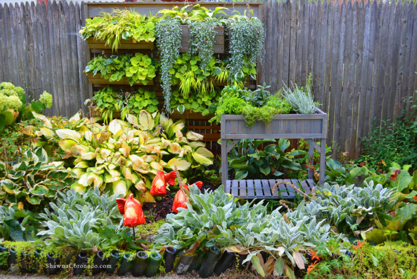 How to Build a Fall Elevated Herb Garden