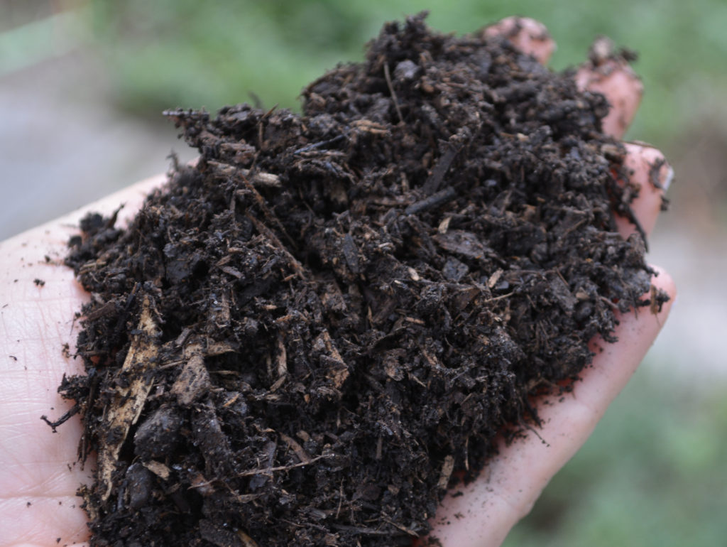 Kellogg Garden BioChar Soil