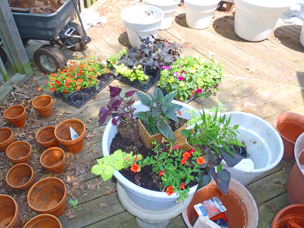 Container Planting