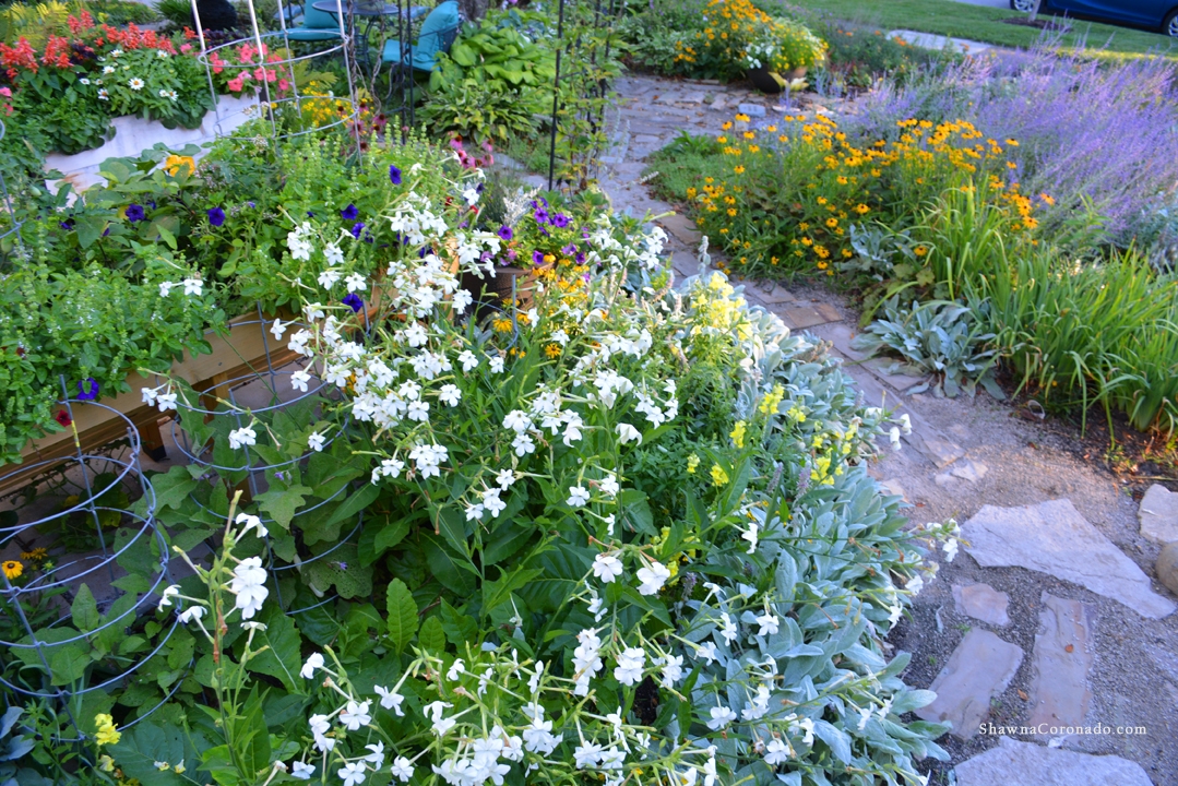 Cutting Garden in front yard