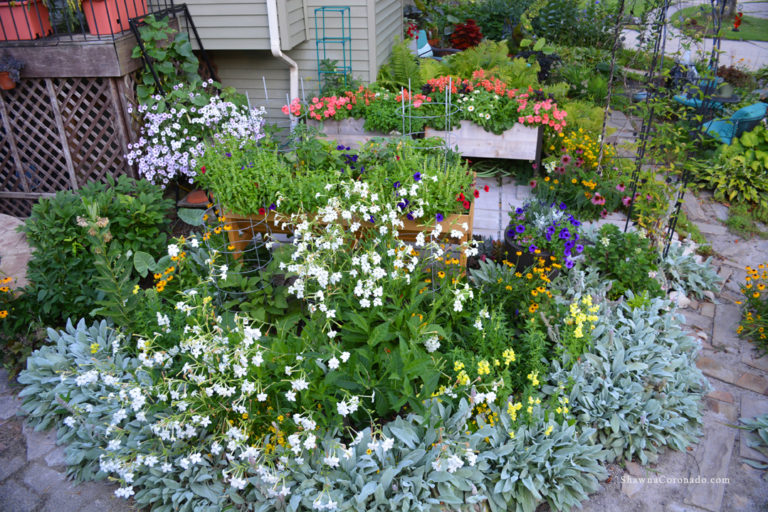 Cutting Garden with Elevated Beds