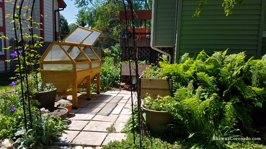 Elevated Veg Trug Wave Petunia Garden