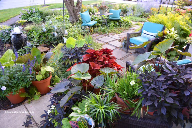 Front Garden Design Tip: Break the Rules