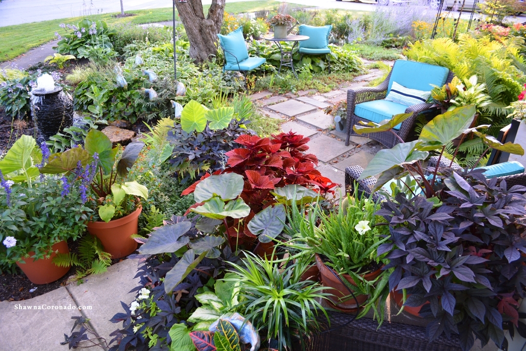 Front Garden Design: Break the Rules ⋆ Shawna Coronado