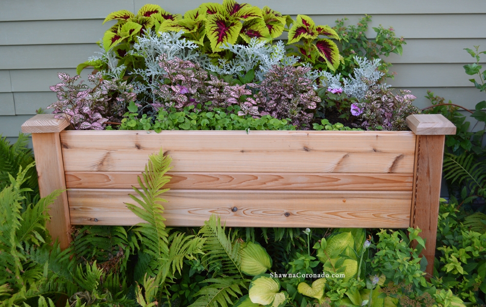 How to Design Pink Elevated Garden Bed