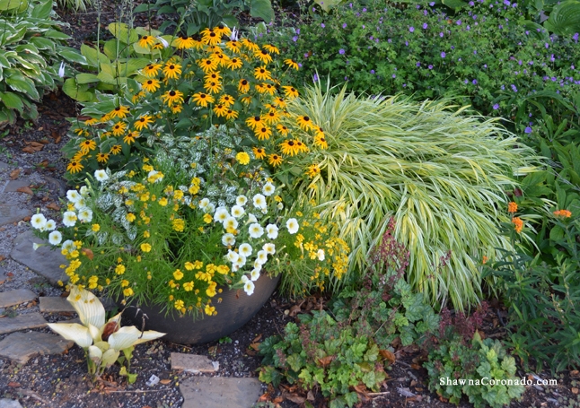 How to Plant a Light Weight Container Garden