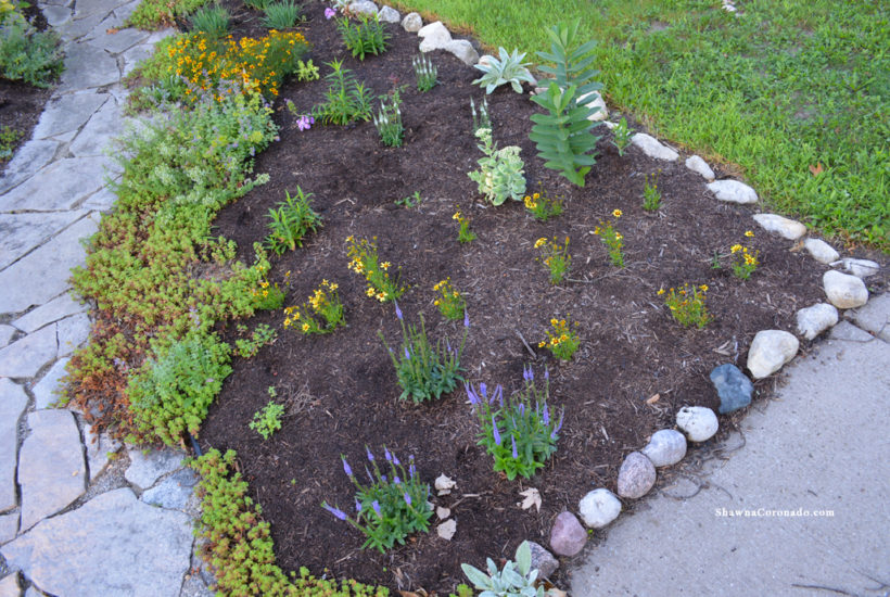 How to Rebuild a Perennial Garden Bed