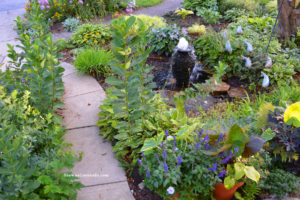 Milkweed design front garden