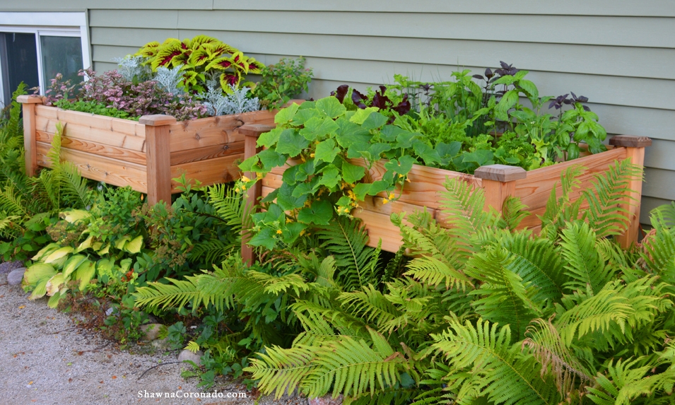 Shade Vegetable Garden Elevated Bed