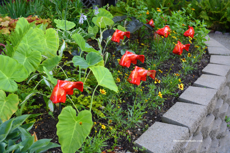 Fish in the garden sculptures with colocasia