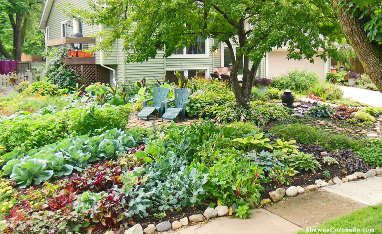 Building Sustainable Raised Garden Beds