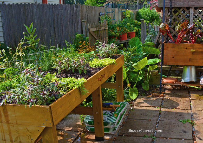 How to Build an Herb Garden Elevated Bed