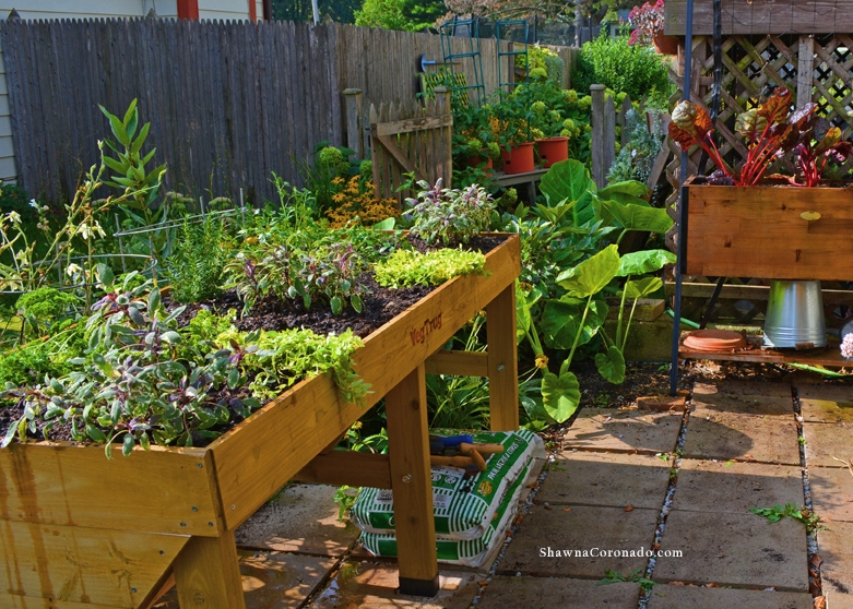 Herb Garden Elevated Bed