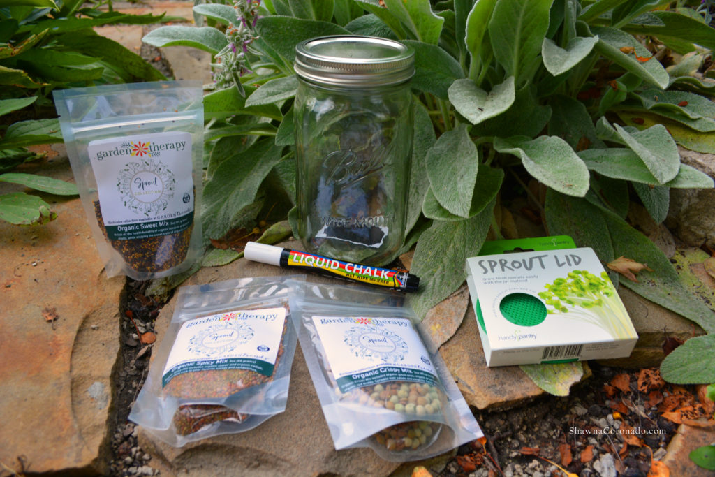 Garden Therapy Mason Jar Sprout Kit