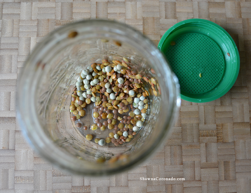 Garden Therapy Mason Jar Sprout Kit Seeds