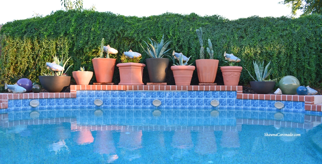 Cactus and Succulents  in Container Gardens along wall