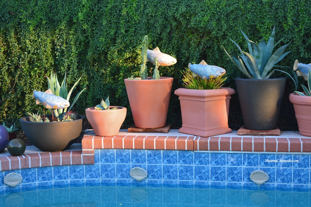 Cactus and Succulents by Pool in Container Gardens