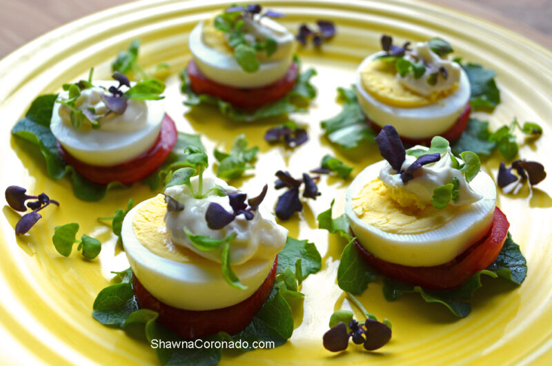 Egg Bites with Basil Microgreens Recipe ⋆ Shawna Coronado