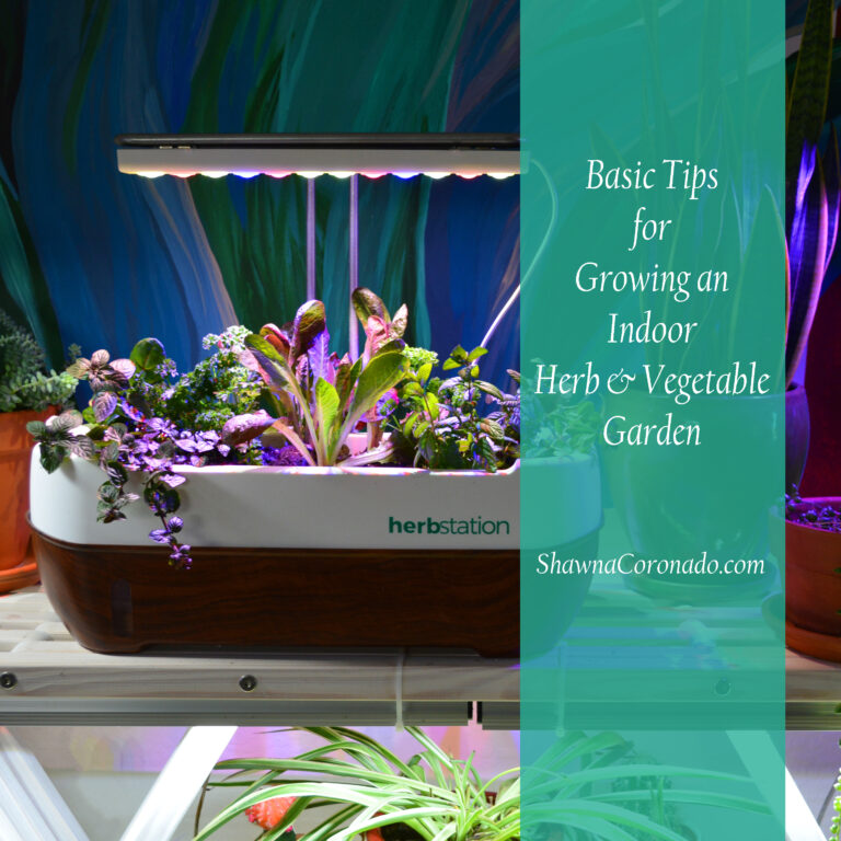 Indoor Vegetable Gardening Guide for Beginners