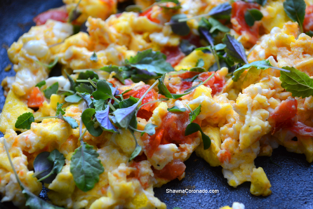 Scrambled Eggs with Tomatoes