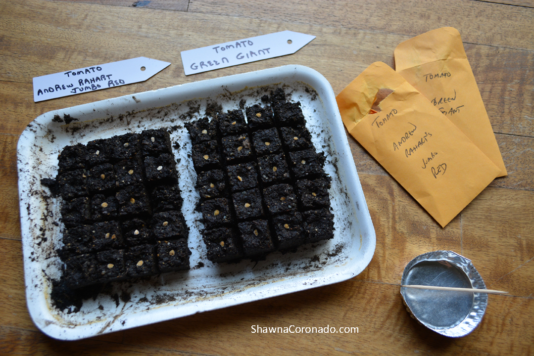 Soil Block Seed Starting